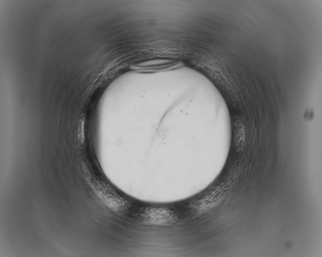 X0000094820262200712141651