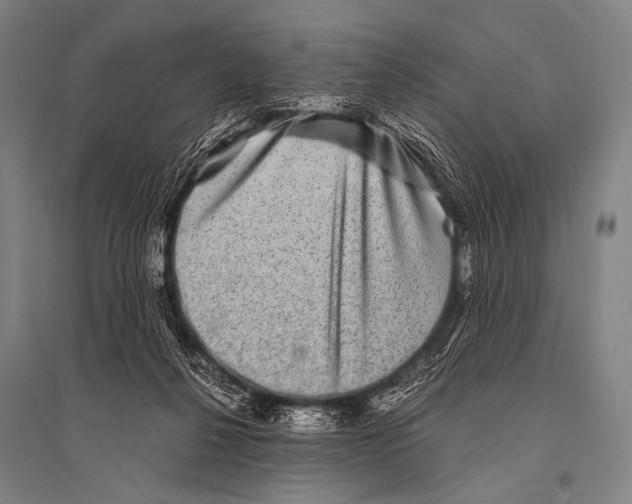 X0000094820264200712141651