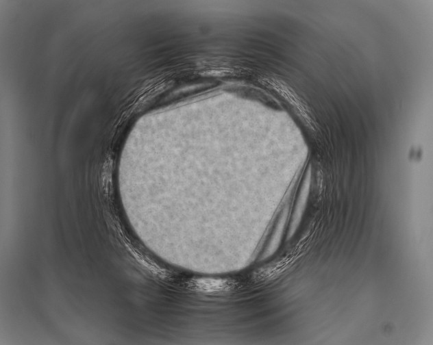 X0000094820265200712141651