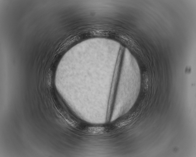 X0000094820266200712141651