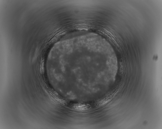 X0000094820267200712141651