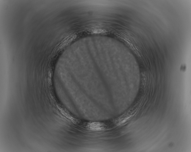 X0000094820269200712141651