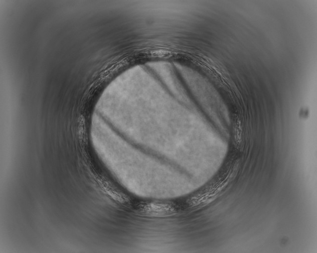 X0000094820270200712141651