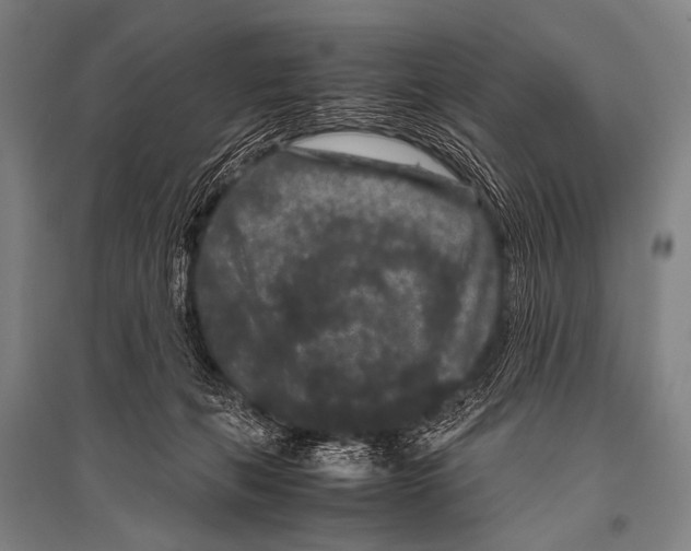 X0000094820271200712141651