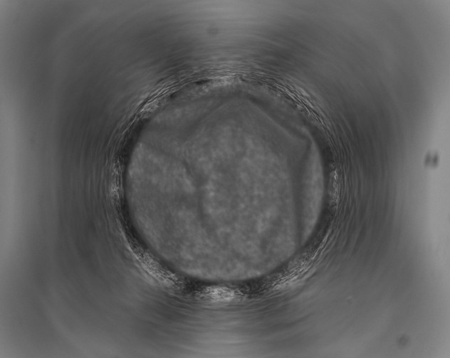 X0000094820272200712141651