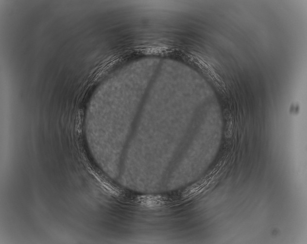 X0000094820273200712141651