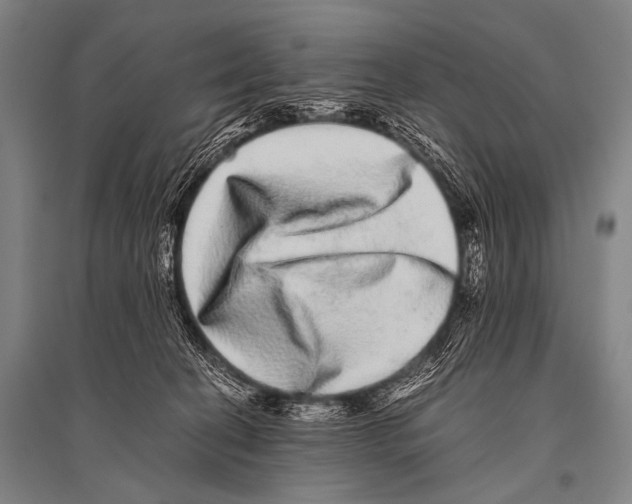 X0000094820274200712141651