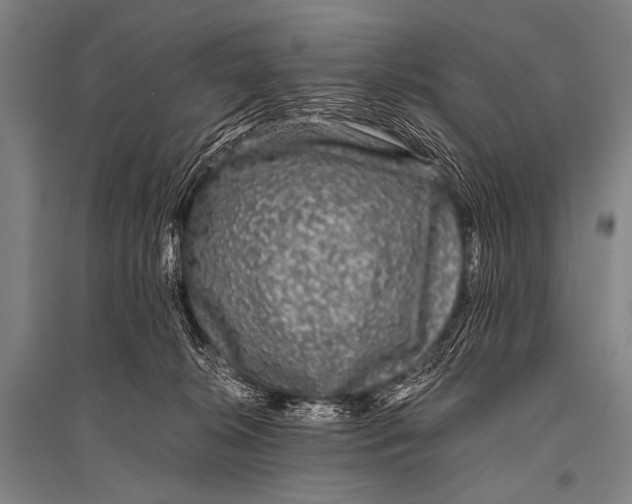 X0000094820276200712141651