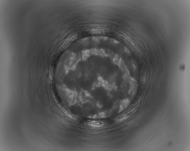 X0000094820277200712141651