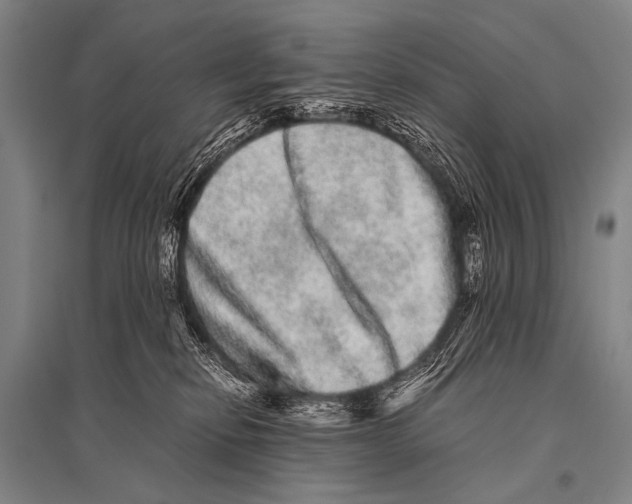 X0000094820278200712141651