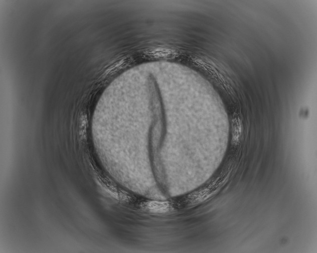 X0000094820279200712141651