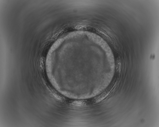 X0000094820280200712141651