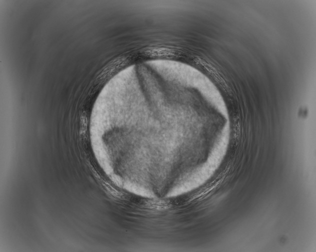 X0000094820281200712141651