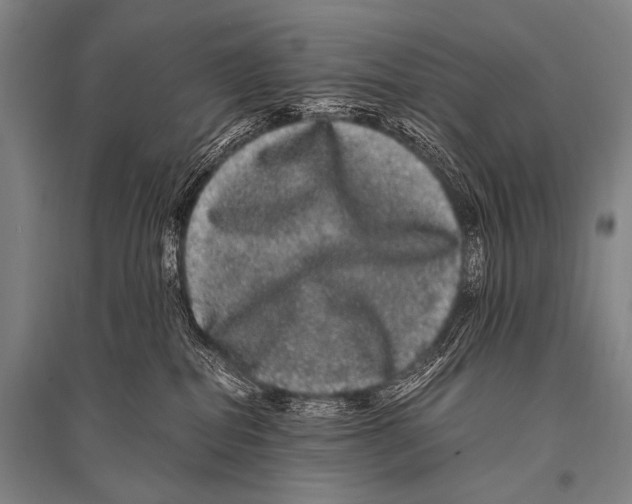 X0000094820282200712141651