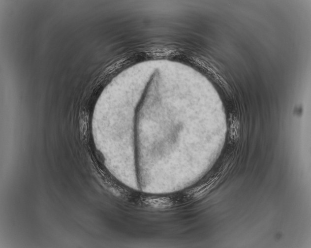 X0000094820283200712141651