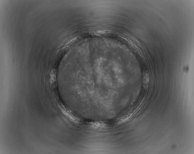 X0000094820284200712141651