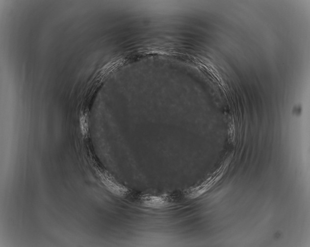 X0000094820285200712141651