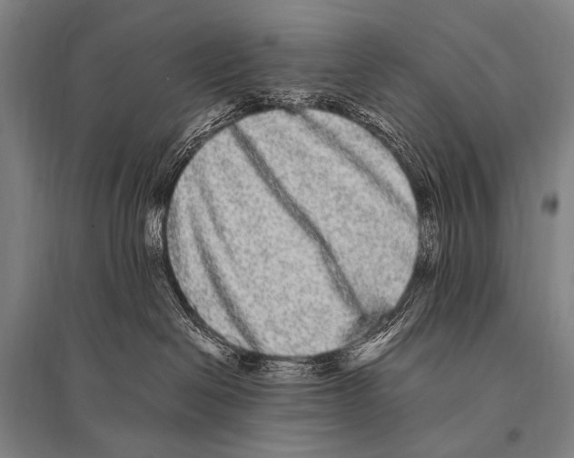 X0000094820286200712141651