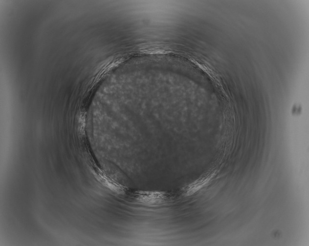 X0000094820288200712141651