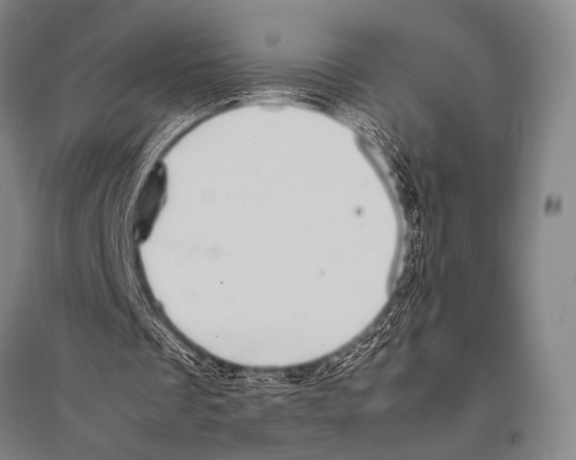 X0000094820289200712141651