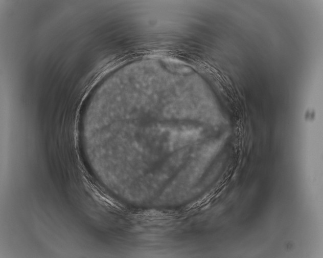 X0000094820290200712141651