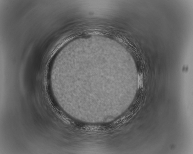 X0000094820291200712141651