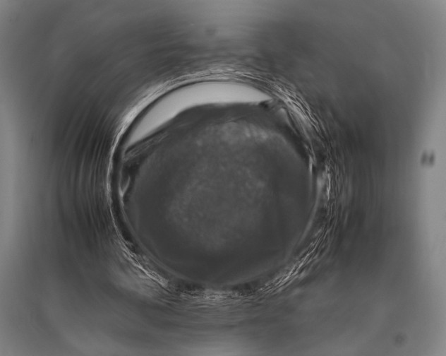 X0000094820292200712141651