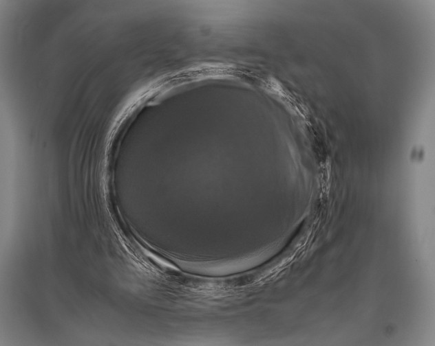 X0000094820293200712141651