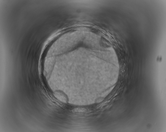 X0000094820294200712141651