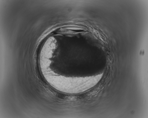 X0000094820295200712141651