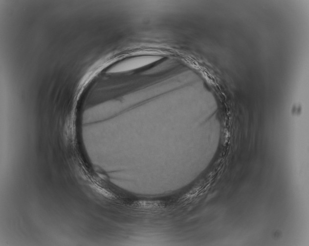 X0000094820296200712141651