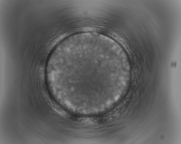 X0000094820297200712141651