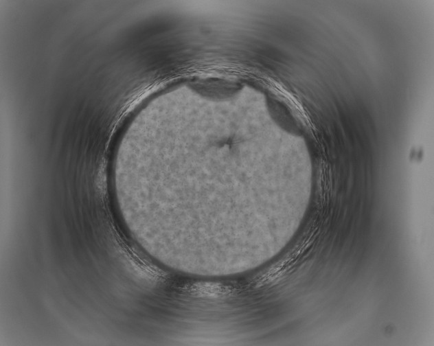 X0000094820298200712141651