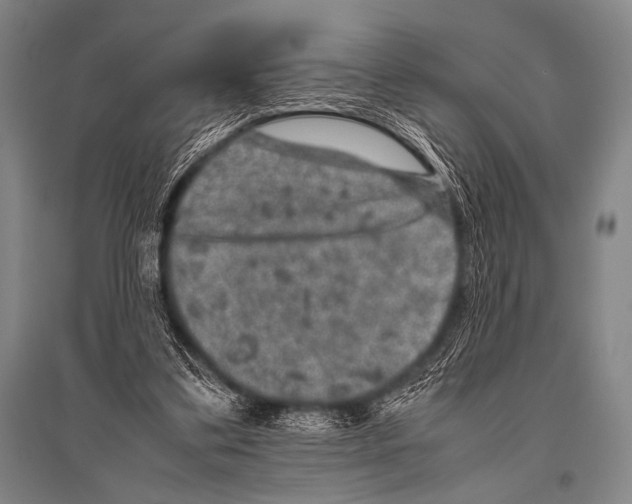 X0000094820299200712141651