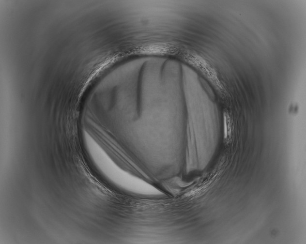 X0000094820300200712141651