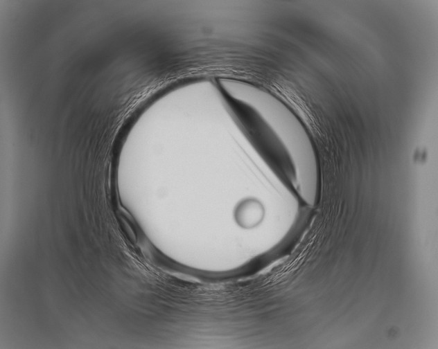 X0000094820301200712141651