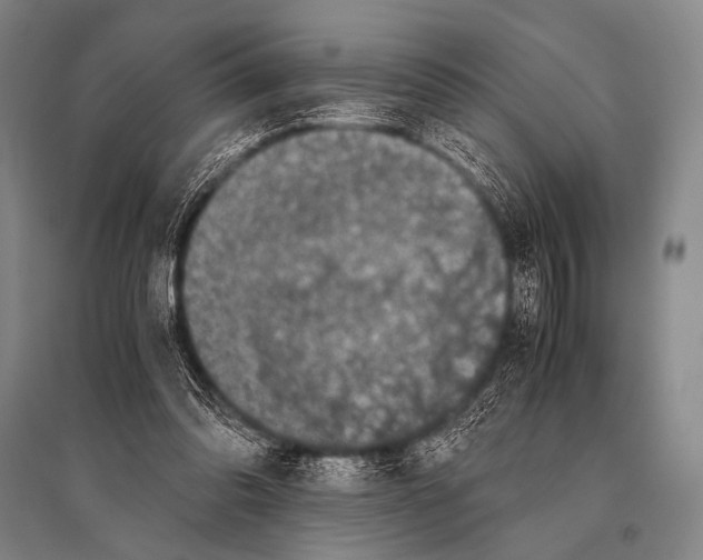 X0000094820302200712141651