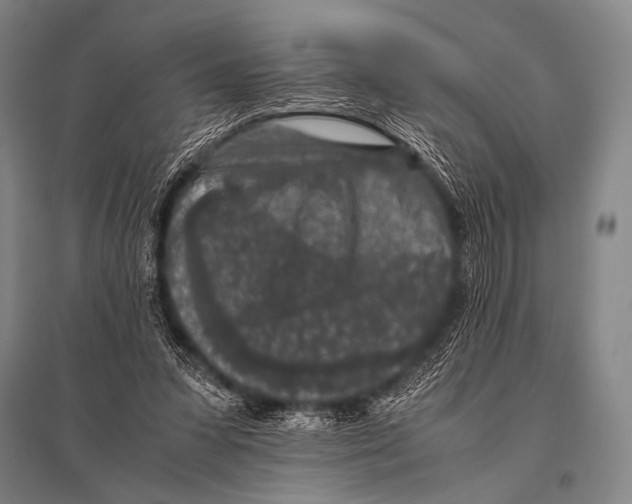 X0000094820303200712141651