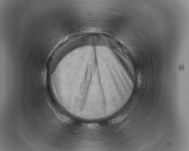 X0000094820304200712141651