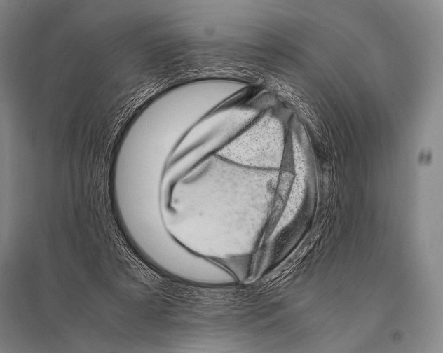 X0000094820305200712141651