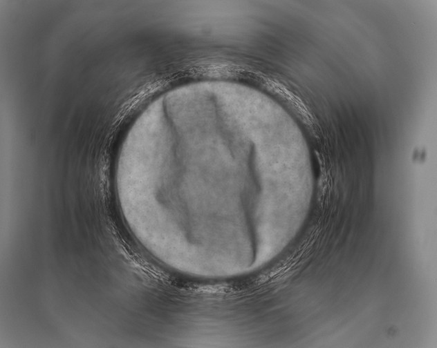 X0000094820306200712141651