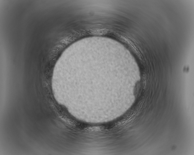 X0000094820307200712141651