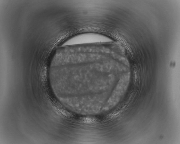 X0000094820308200712141651