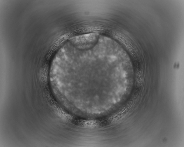 X0000094820309200712141651