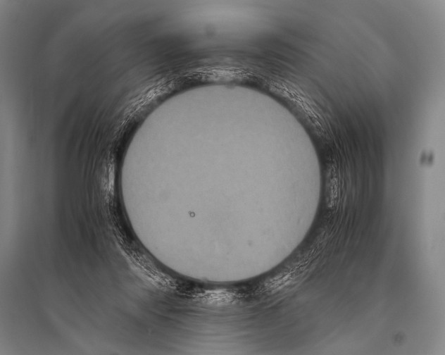 X0000094820310200712141650