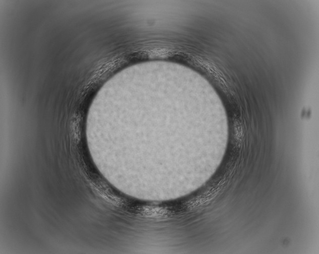 X0000094820311200712141650