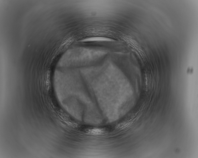 X0000094820312200712141650