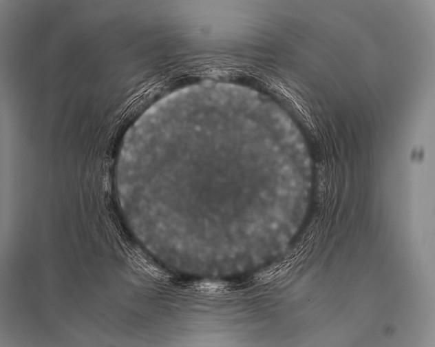 X0000094820313200712141650