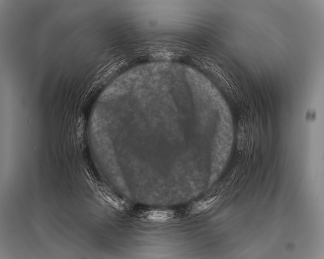 X0000094820314200712141650