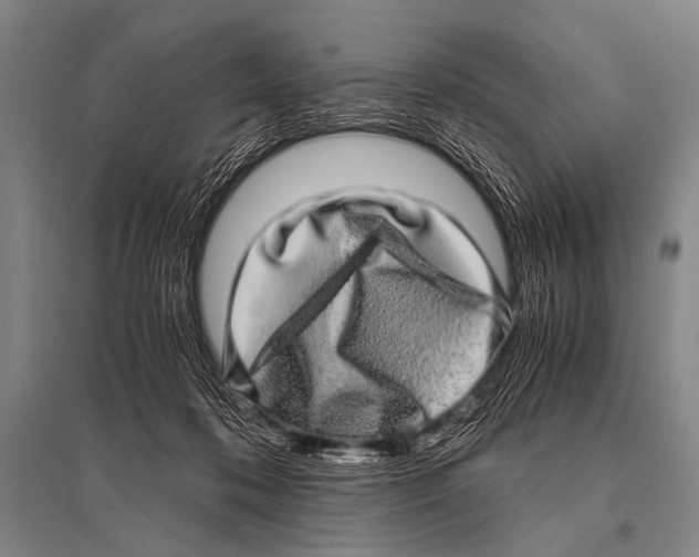 X0000094820316200712141650